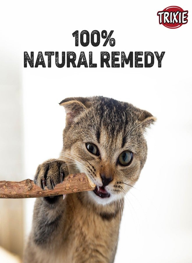 TRIXIE: - Matatabi Chewing Stick | Interactive Cat Toy, Attracts and Stimulates Cats Hunting Instincts | Made with Dried Matatabi Fruits, Supports Dental Hygiene and Cleans Teeth - 10 Gm - Image 4